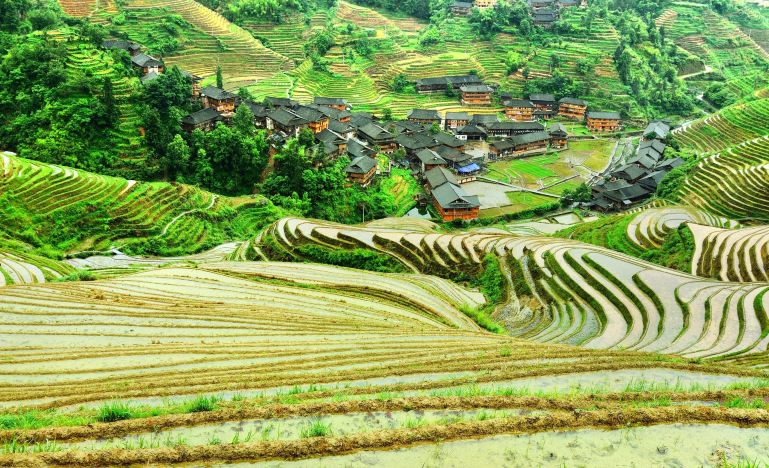 Guilin + Yangshuo + Longji Rice Terraces 5-Day 4-Night Trip (27)