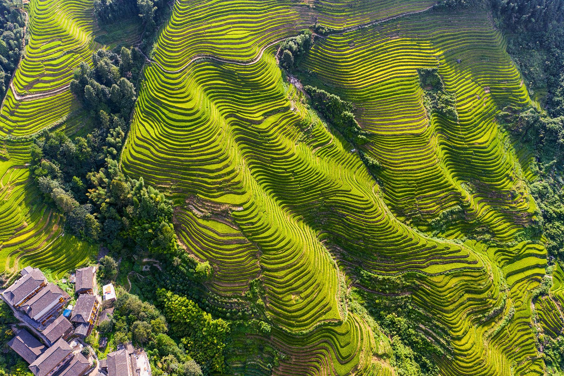 Guilin + Yangshuo + Longji Rice Terraces 5-Day 4-Night Trip (37)