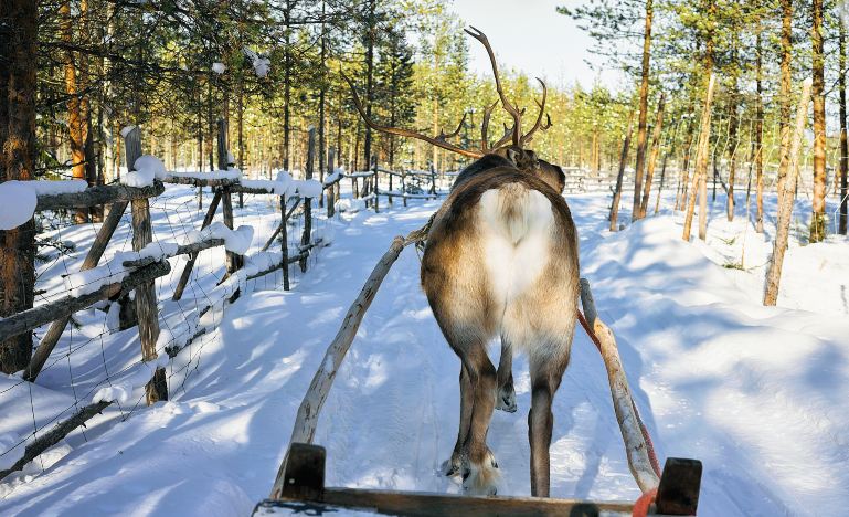 Harbin + Mohe + North Pole Village 6-Day 5-Night Small Group Trip (13)