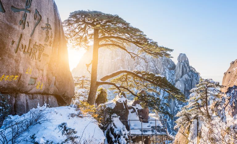 Huangshan + Hongcun + Huizhou Ancient City 4-Day 3-Night Trip (36)