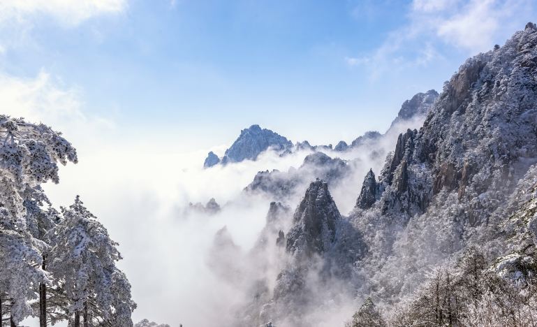 Huangshan + Hongcun + Huizhou Ancient City 4-Day 3-Night Trip (41)