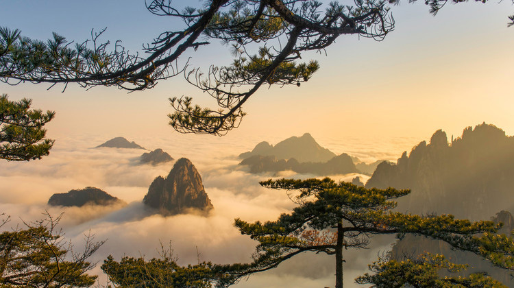 Huangshan + Hongcun + Huizhou Ancient City 4-Day 3-Night Trip (7)