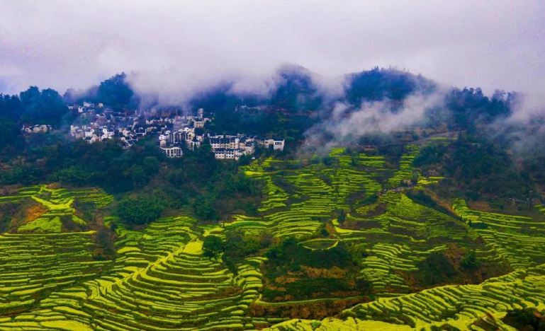 Jiangxi Wangxian Valley + Wuyuan Huangling + Jingdezhen + Sanqingshan 5-Day 4-Night Trip (32)