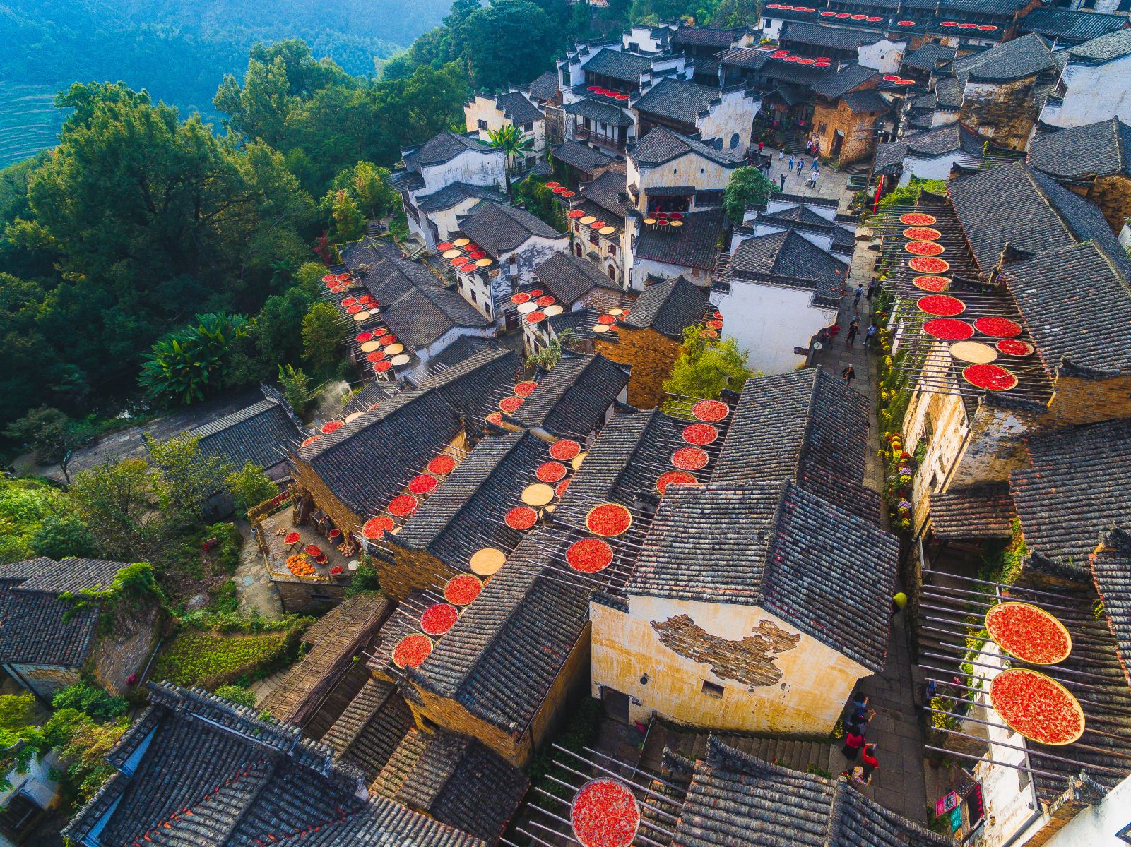 Jiangxi Wangxian Valley + Wuyuan Huangling + Jingdezhen + Sanqingshan 5-Day 4-Night Trip (34)