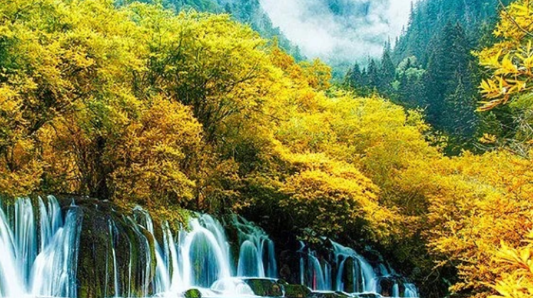 Jiuzhaigou + Dujiangyan + Four Girls Mountain + Sanxingdui Museum + Chengdu Research Base of Giant Panda Breeding 7-Day 6-Night Trip (1)