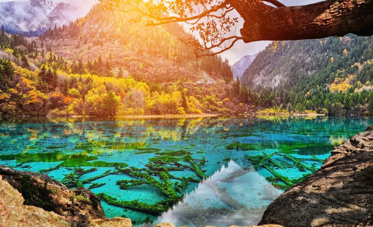 Jiuzhaigou + Dujiangyan + Four Girls Mountain + Sanxingdui Museum + Chengdu Research Base of Giant Panda Breeding 7-Day 6-Night Trip (22)