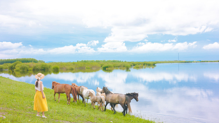 Ulan Butong + Mulan Weichang + Saihannba + Bashang + Chengde 5-Day 4-Night Trip (13)