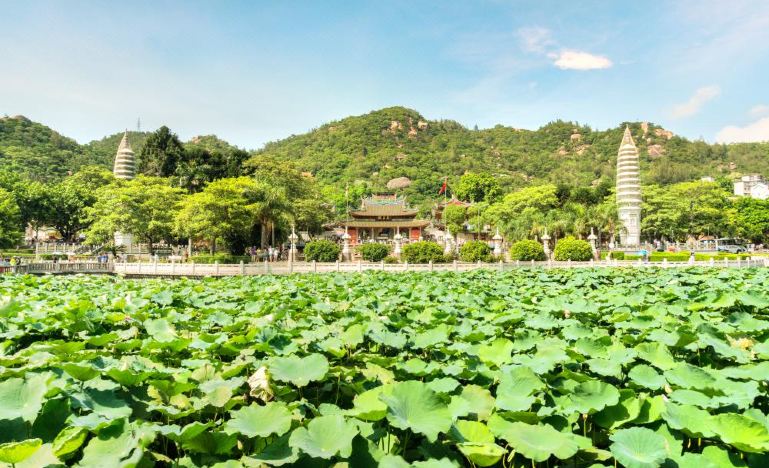 Xiamen + Fujian Tulou + Gulangyu + Quanzhou + Wuyi Mountain 7-Day 6-Night Trip (20)