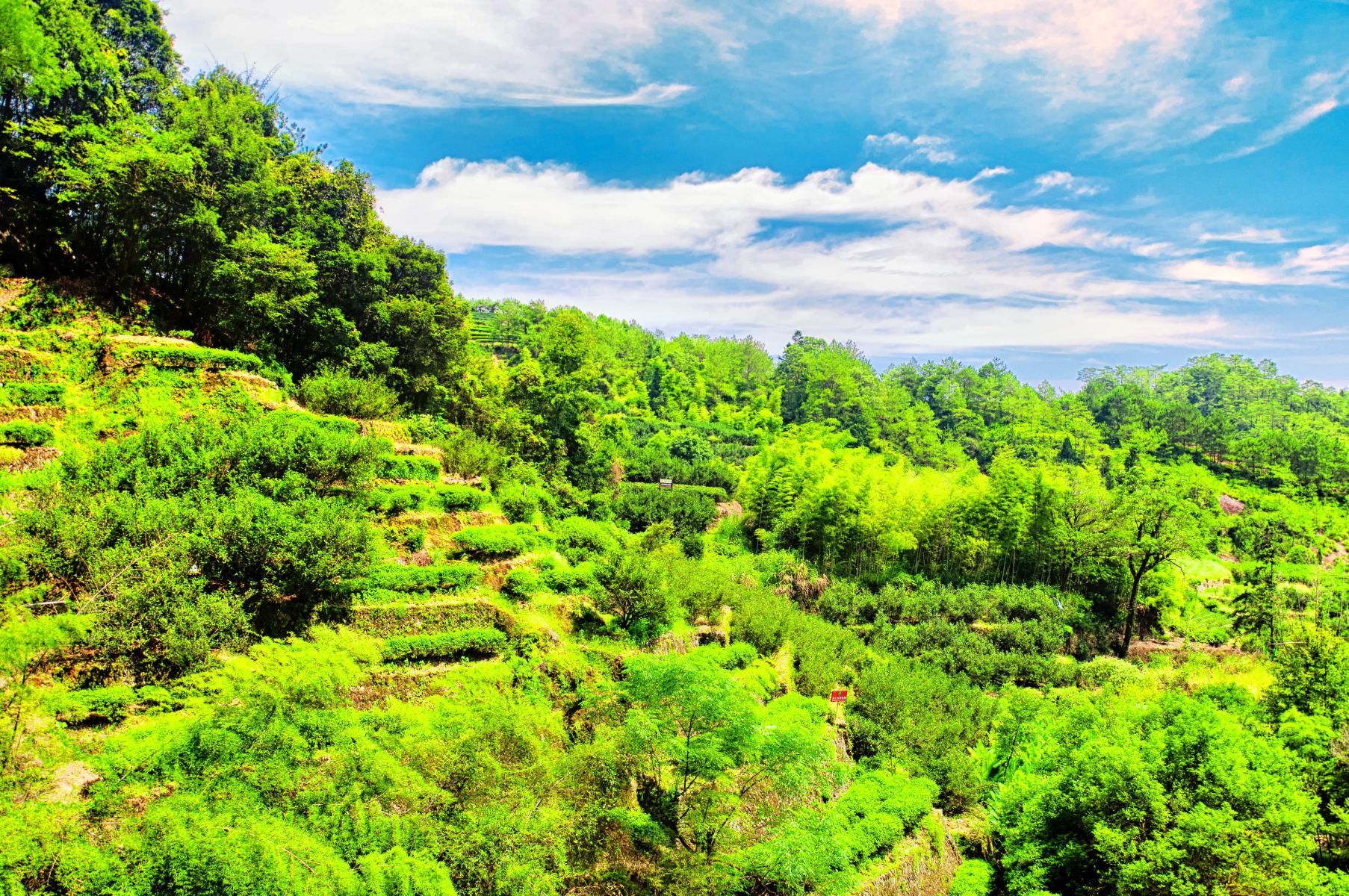 Xiamen + Fujian Tulou + Gulangyu + Quanzhou + Wuyi Mountain 7-Day 6-Night Trip (27)