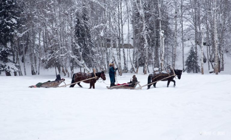 Xinjiang Northern Xinjiang + Kanas Scenic Area + Hemu Scenic Area + Sayram Lake 7-Day 6-Night Private Group Trip (10)