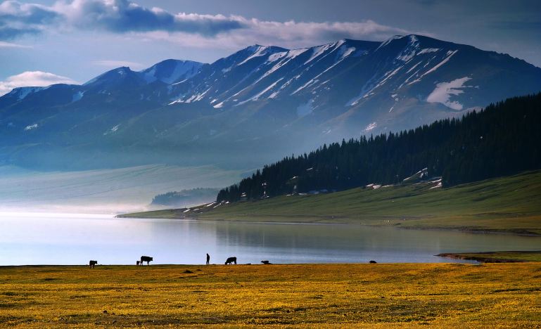 Xinjiang Northern Xinjiang + Kanas Scenic Area + Hemu Scenic Area + Sayram Lake 7-Day 6-Night Private Group Trip (23)