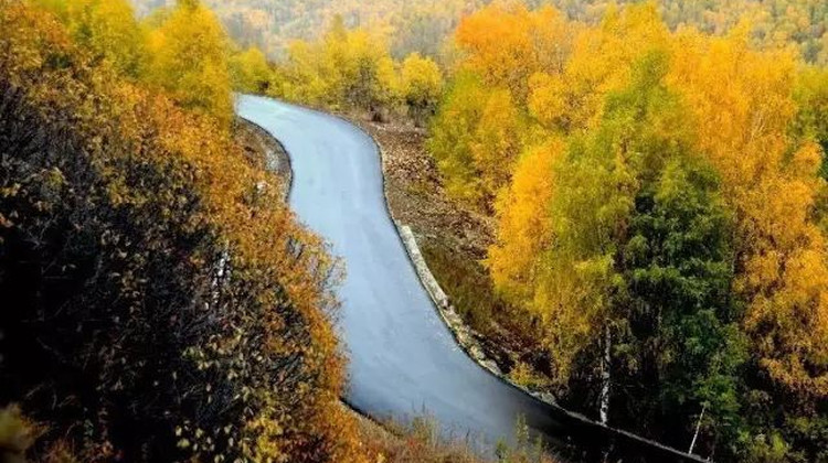 Xinjiang Northern Xinjiang + Kanas Scenic Area + Hemu Scenic Area + Sayram Lake 7-Day 6-Night Private Group Trip (4)