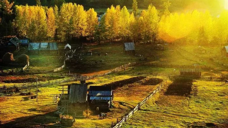 Xinjiang Northern Xinjiang + Kanas Scenic Area + Hemu Scenic Area + Sayram Lake 7-Day 6-Night Private Group Trip (6)